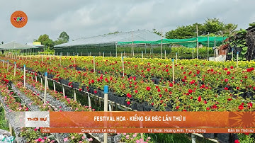 FESTIVAL HOA – KIỂNG SA ĐÉC LẦN THỨ II | VTV5