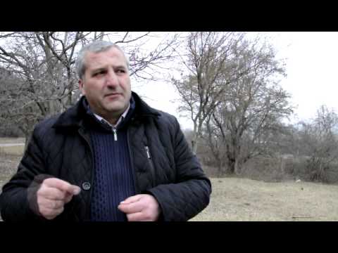 დასუფთავების აქცია