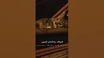 تمر ببالي كطيف جميل بدون موسيقى 