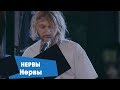 Нервы - Нервы (LIVE: Брать живьём на о2тв)