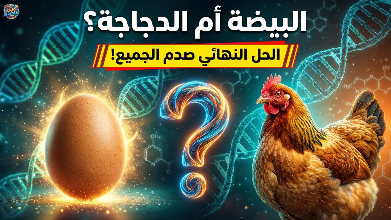 أخيراً.. العلم يحسم الجدل: من جاء أولاً البيضة أم الدجاجة؟ (الإجابة ستصدمك! 🐣)