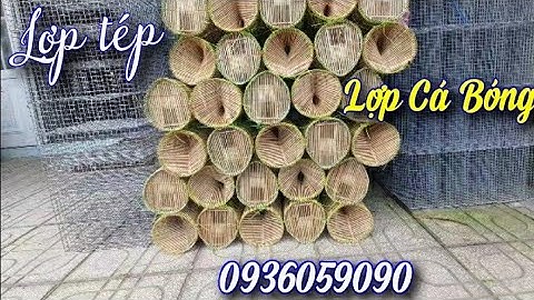 Bán lợp tép, lợp cá bóng, lợp cá chạch 0936059090.Ship toàn quốc.