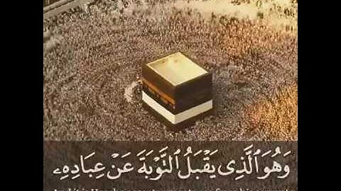 تلاوة صباحية بصوت رائع || حالات واتس قرأن || Quran Status 💙