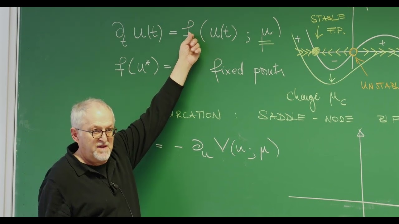 3. Dynamical Systems: Fixed Points, Saddle-Node & Pitchfork Bifurcations