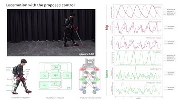 Adaptive Modular Neural Control for Gait Synchronization and Adaptation of an Assistive Exoskeleton