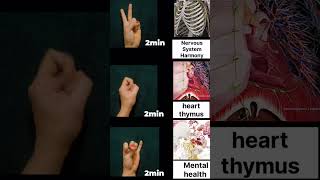 🧘♀️Powerful 2-Minute Mudra for Mental Health,Heart & Nervous System | Do Daily for Inner Balance ✨