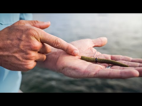Strelic's Smallmouth Neko Rig