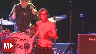 Watch Iggy  The Stooges Cock In My Pocket video