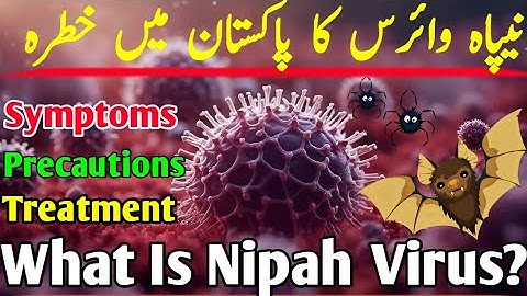 Nipah Virus Ka Pakistan Main Khatra | Symptoms, Precautions And Treatment For The Deadly Virus?