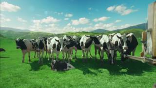 Sütaş Süt Aşkı 40. Yıl Şarkısı Reklamı Resimi