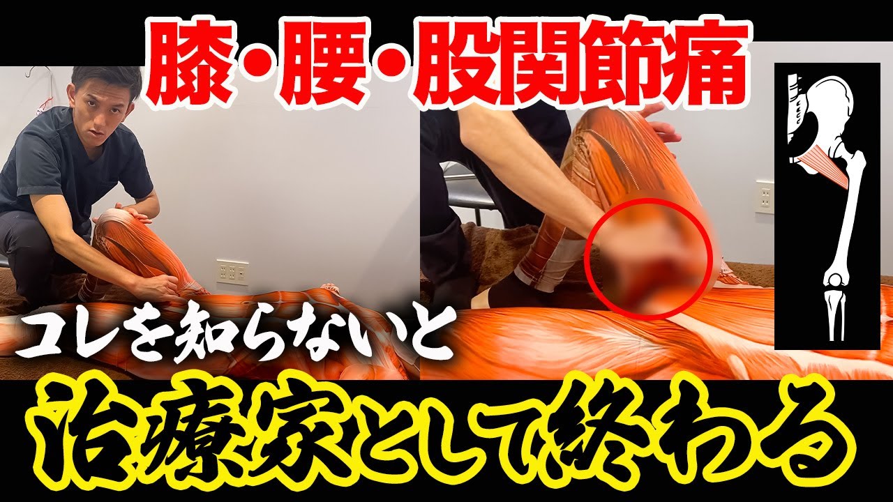 【※全治療家必見】中々治らない膝・腰・股関節の痛みで狙うのは患部じゃない！知らないとヤバイ治療法を伝授します