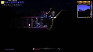 How to summon Skeletron