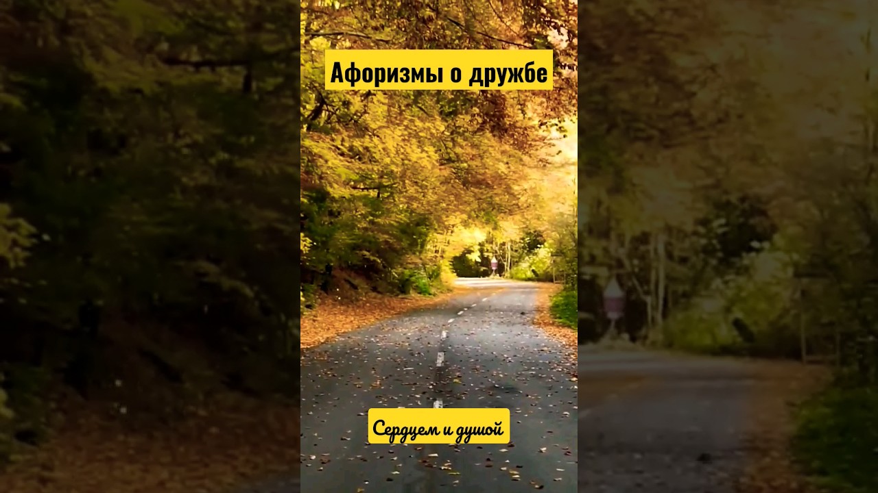 Афоризмы о дружбе @SERDTSEM_i_DUSHOY #афоризмы #дружба #афоризмыодружбе #чтотакоедружба #одружбе