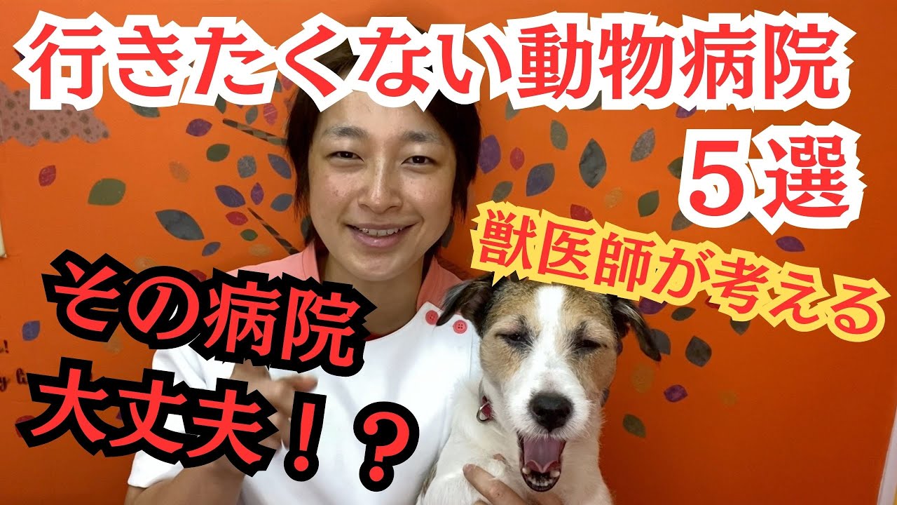 【良い動物病院の選び方】獣医が絶対に行きたくない動物病院5選！本当にその病院で大丈夫？後悔しない？
