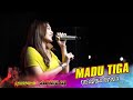 MADU TIGA DIFARINA INDRA - AMELIA MUSIC | NUGROHO AUDIO