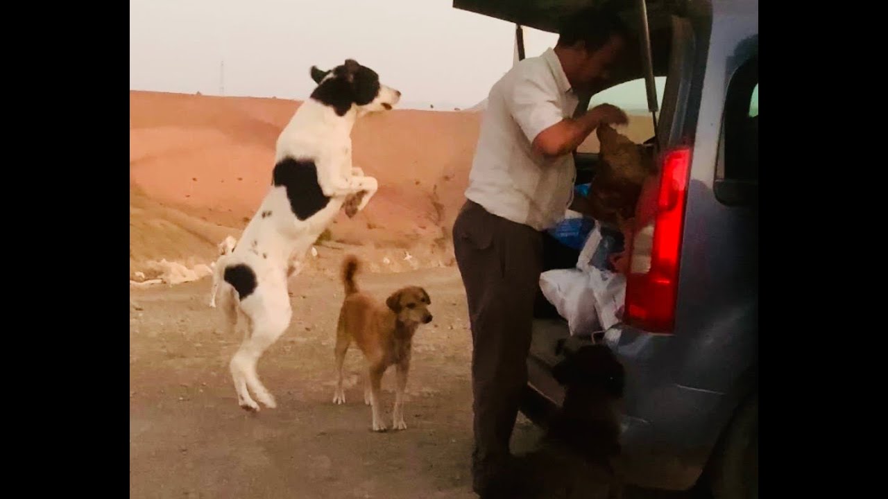 كيف تبدأ مشروع سهل ومربح