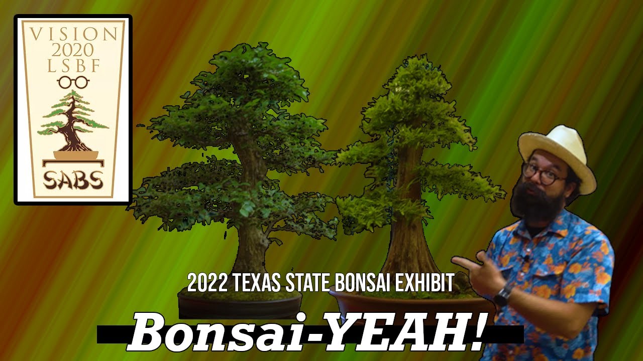 2022 Texas State Bonsai Exhibit - Bonsai-YEAH!