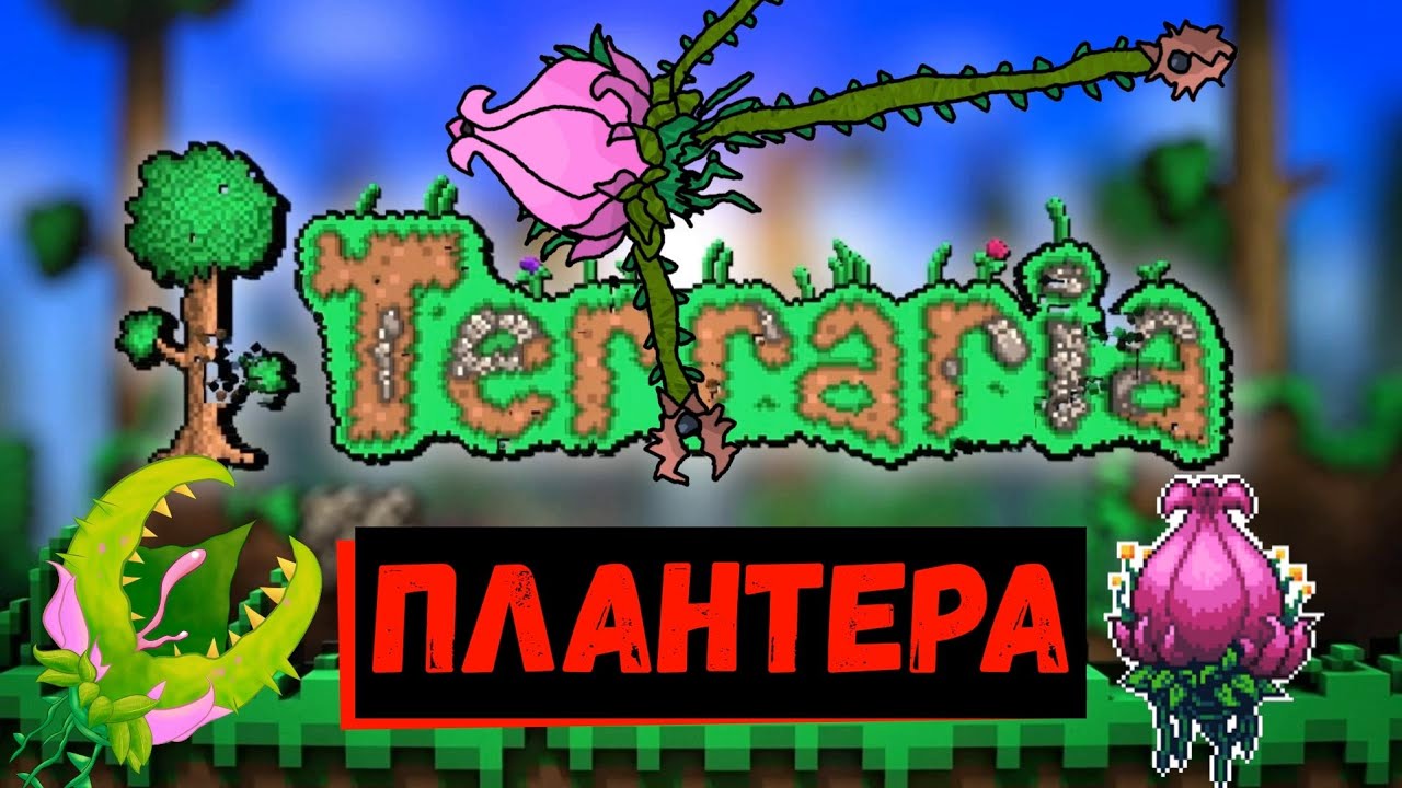 Терария. Terraria призывы. Ферма хлорофита террария. Плантера. Ферма хлорофита