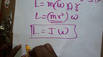 relation between angular velocity and angular momentum