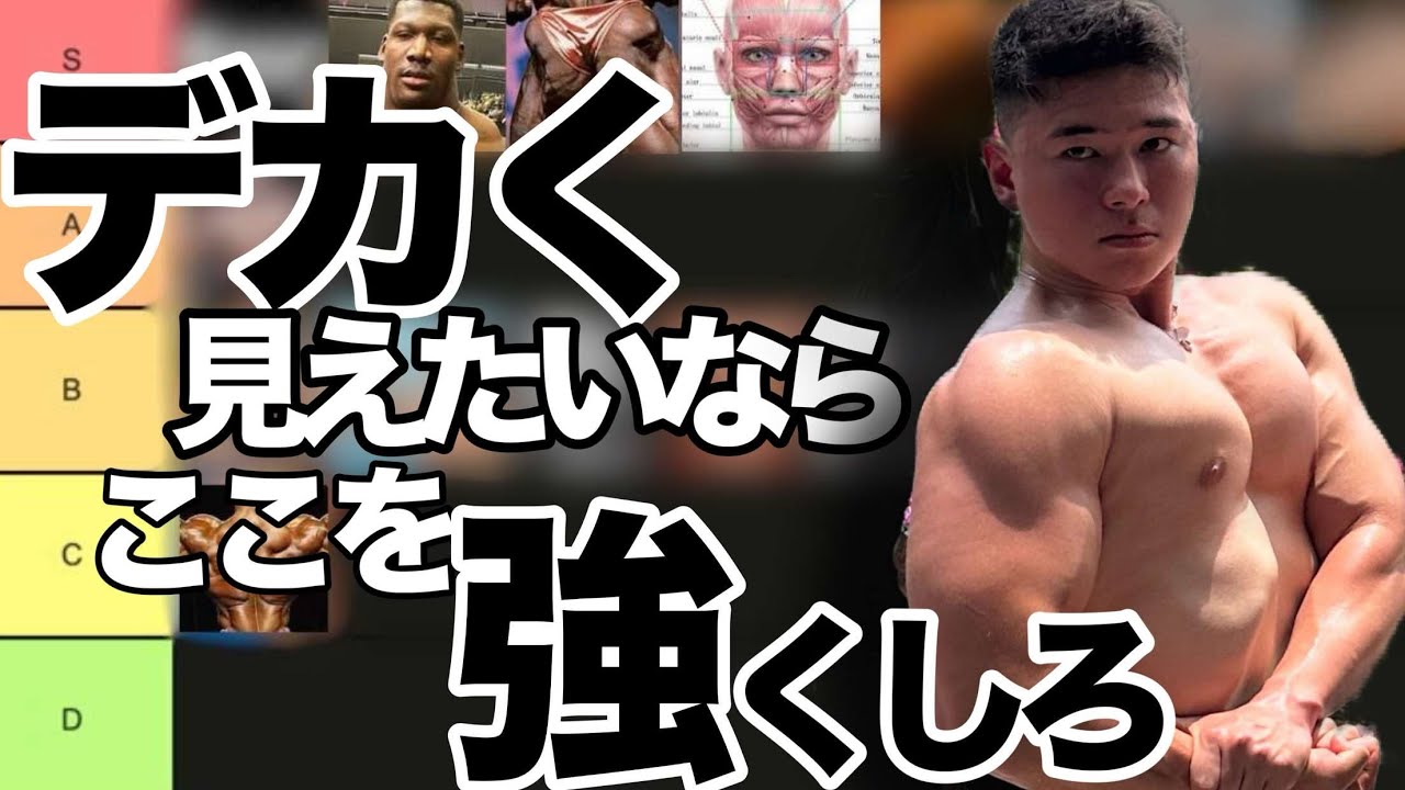 体をデカく見せる筋部位ティアリスト