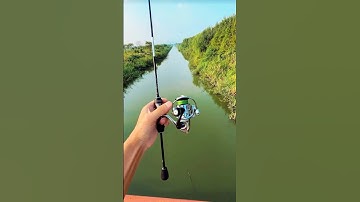 Bộ cần lure máy đứng 1,2m carbon siêu nhẹ, bền, đóng cá khỏe 5-10kg 🎣😍 #fishing #shorts