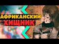 Африканский Хищник против Терминатора. Гитлер в Африке, не шучу