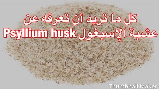 عشبة اسبيغول  Psyllium Husk