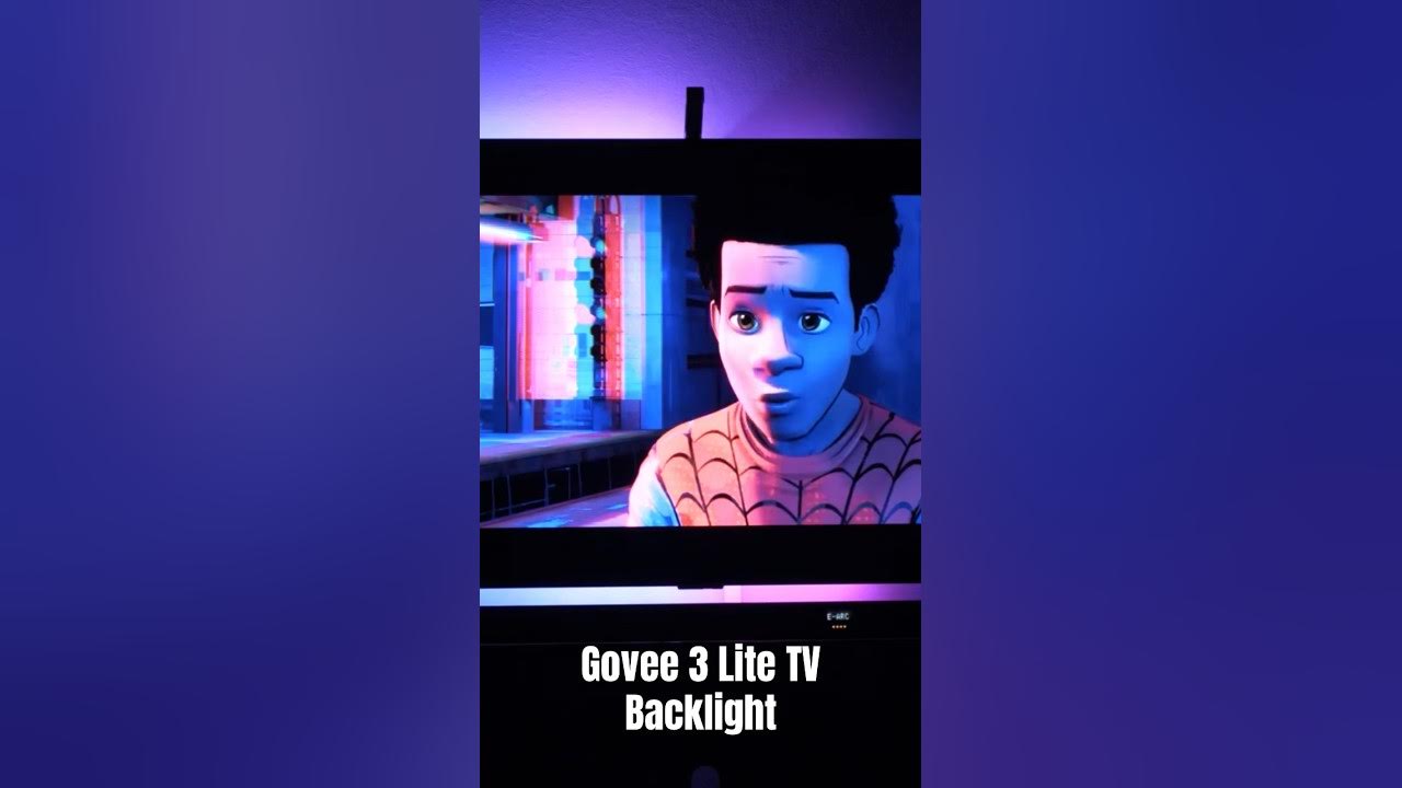 Govee 3 Lite TV Backlight 