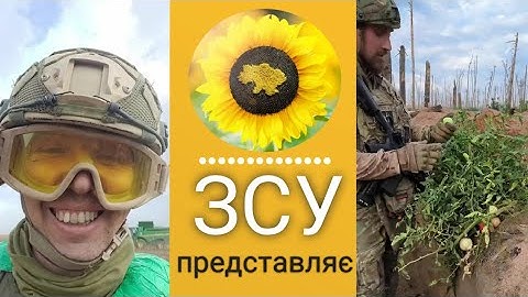Відео від ЗСУ. Виростили помідори на нулі. Військовий гумор.
