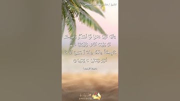 " يا أيها الذين آمنوا قوا أنفسكم وأهليكم نارا "  للقارئ : مشاري بن راشد العفاسي .