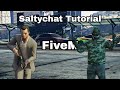 Salty chat einrichten tutorial fivem germany