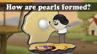 How are pearls formed? | #aumsum #kids #science #education #children