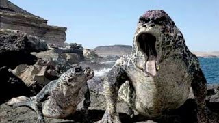 Primeval - Mer Creatures