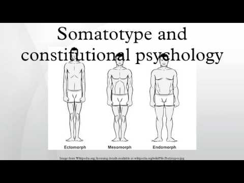 Somatotype and constitutional psychology