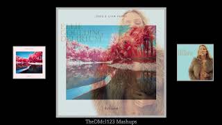 Zedd & Liam Payne vs Ellie Goulding - Keep On Gettin Low (Mashup)