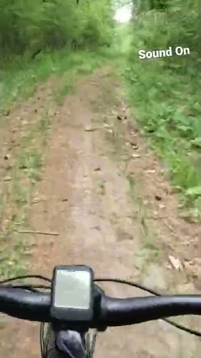 Trek Fuel EXe / TQ HPR50 Motor Sound Test
