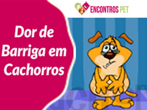 Dor de barriga em cachorros, como tratar?