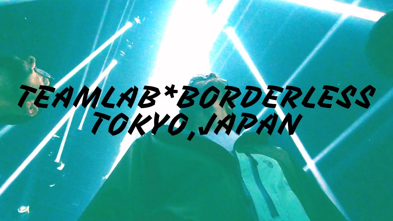 teamLab BorderLess Tokyo, Japan