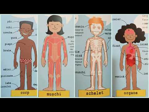 Video: De Ce Hrișca Este Utilă Pentru Corpul Uman