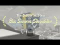 The 3 Year History of Bee Swarm Simulator | Roblox Documentary