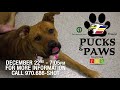Larimer Humane Society Visit