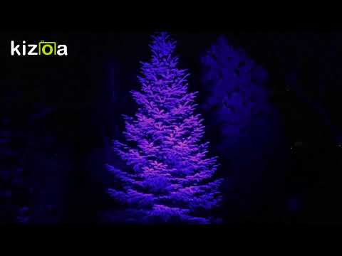 Vidéo: Spots RGB : Modèles De Couleurs LED Avec Télécommande, 10 W, 30 W, 50 W Et 100 W, Choix De Spots D'extérieur Et D'aquarium