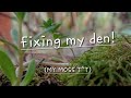 Fixing my den!
