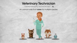 What is a Veterinary Technician? by AnimalCareTV 15,579 views 7 years ago 58 seconds