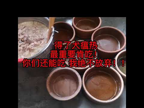 CANINE DISTEMPER IN DOGS犬瘟热【狗瘟】受感染和治疗全过程！！ 不抛弃，不放弃！血泪史！！！#马来西亚 #怡保 #爱狗人士 #必看必学 #救狗知识篇 #distemper