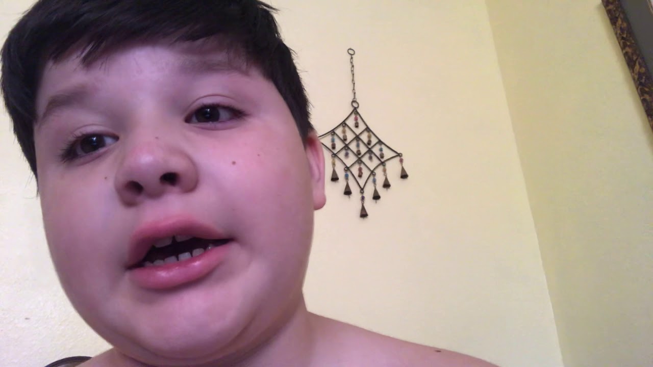 My Bird Died YouTube my-bird-died-youtube