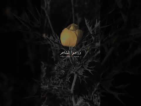 جبر الخواطر الشيخ عبدالله البواردي حكم اقوال
