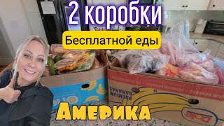 БЕСПЛАТНЫЕ ПРОДУКТЫ В АМЕРИКЕ/ В этот раз столько вкусняшек / Фудбанк/Бесплатка / Жизнь в США / Влог