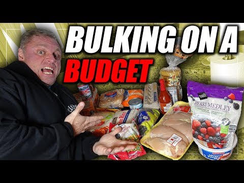 Bulking on a Budget