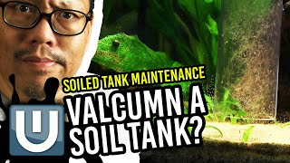 Soil Planted Tank - Maintenance and Setup Tips